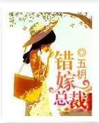 錯嫁總裁